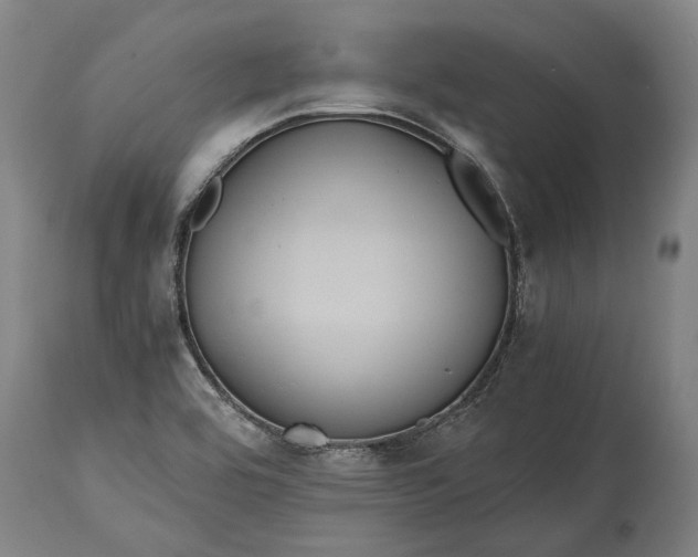 X0000114641464200911101248