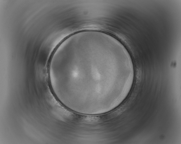 X0000114641466200911101248