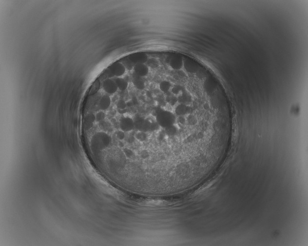 X0000114641467200911101247