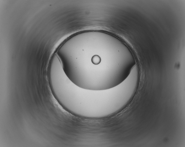 X0000114641468200911101247
