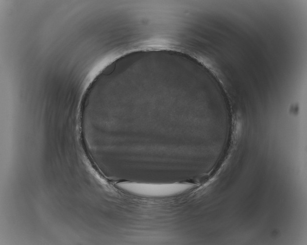 X0000114641469200911101247