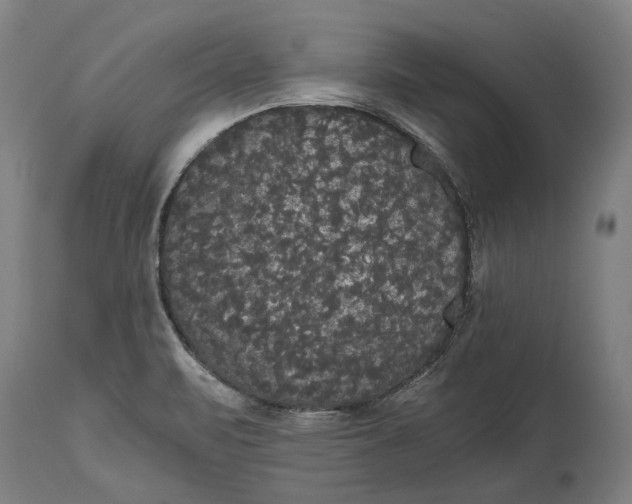 X0000114641471200911101247