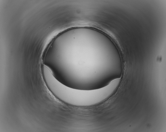 X0000114641472200911101247