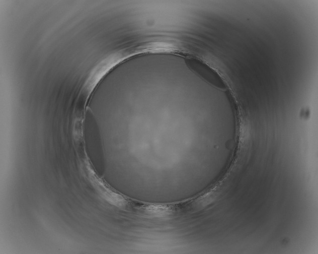 X0000114641473200911101247
