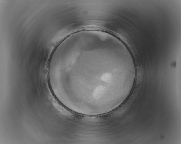 X0000114641474200911101247