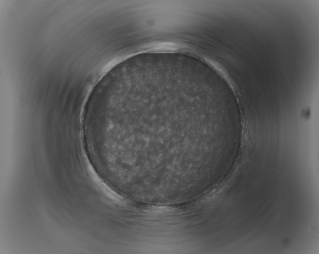 X0000114641475200911101247