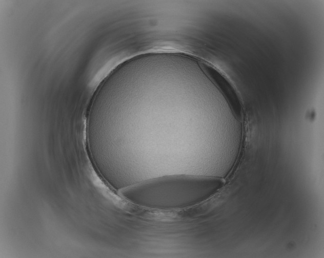 X0000114641476200911101247