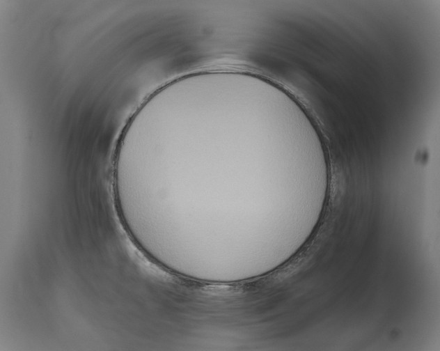X0000114641478200911101247