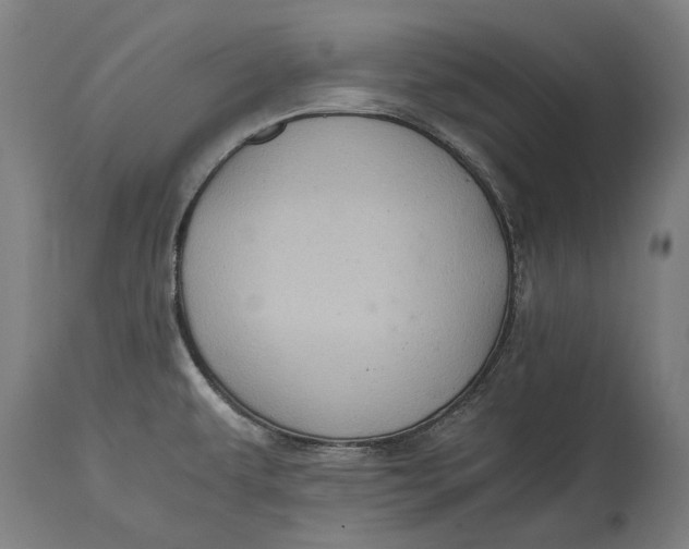 X0000114641479200911101247