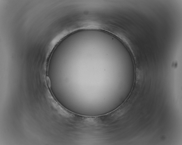 X0000114641480200911101247