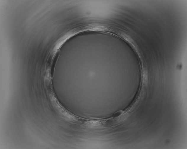 X0000114641481200911101247