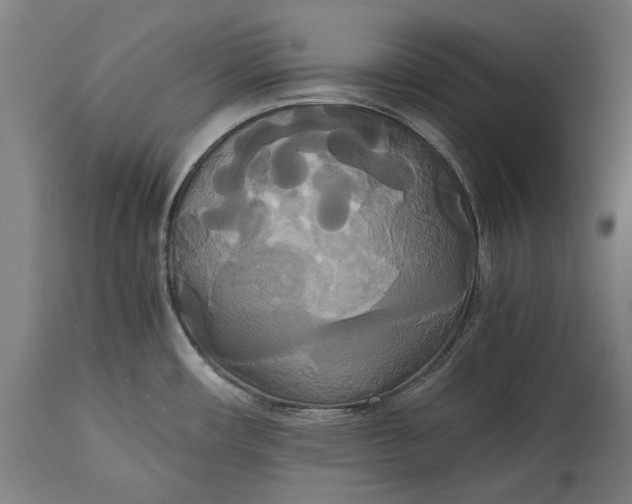 X0000114641482200911101247