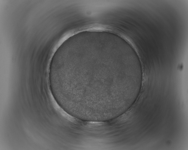 X0000114641483200911101247