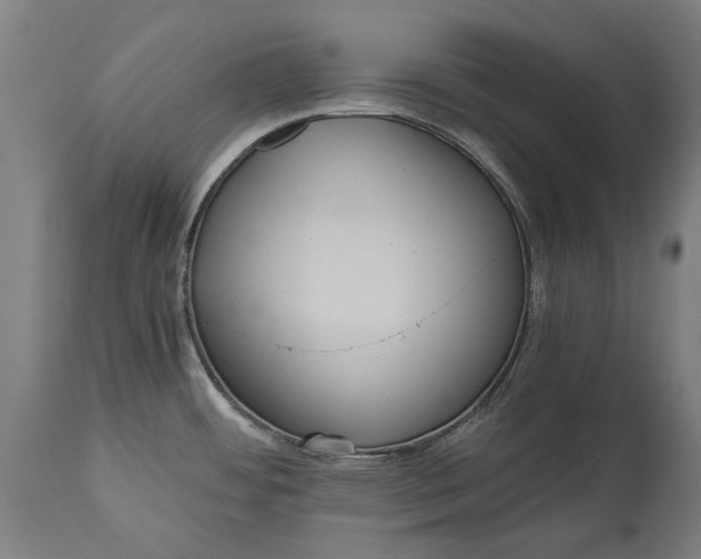 X0000114641484200911101247