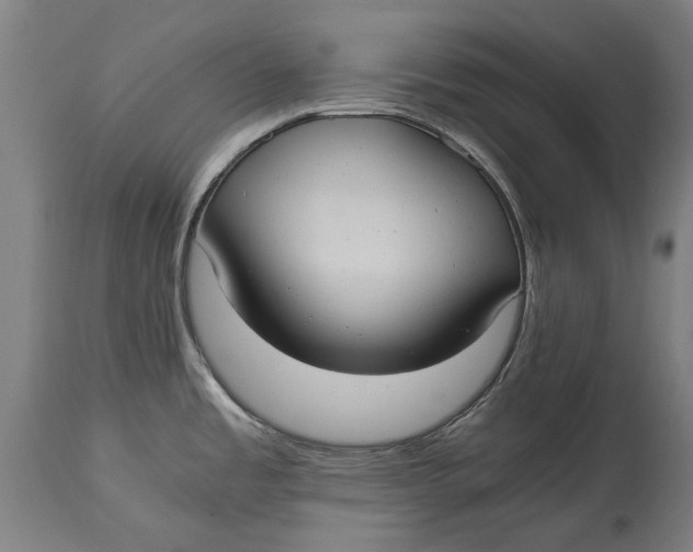 X0000114641485200911101247
