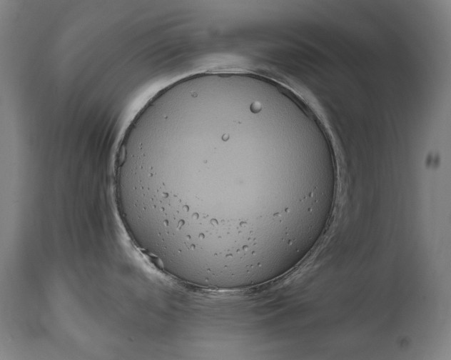 X0000114641488200911101247