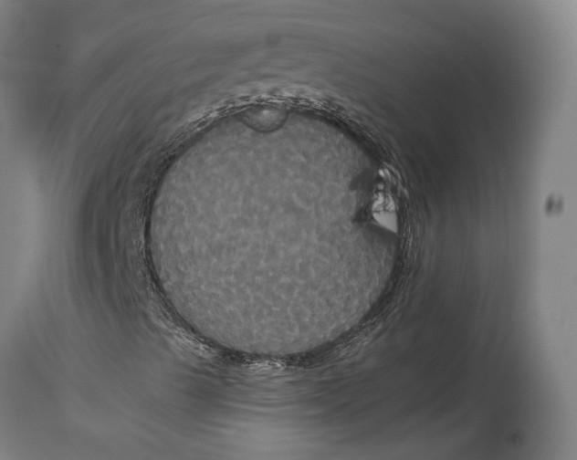 X0000114641489200911101247