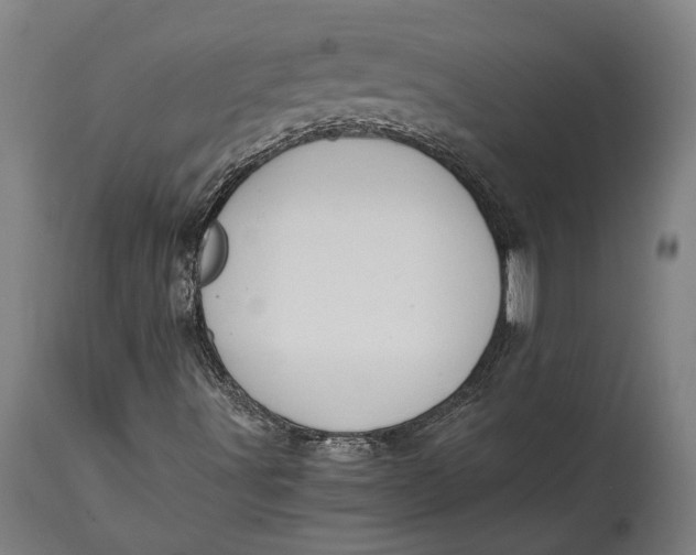 X0000114641491200911101247