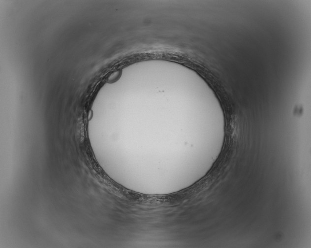 X0000114641493200911101247