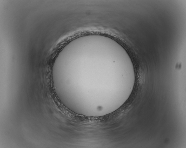 X0000114641494200911101247