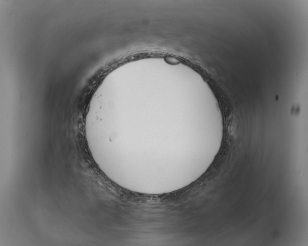 X0000114641495200911101247