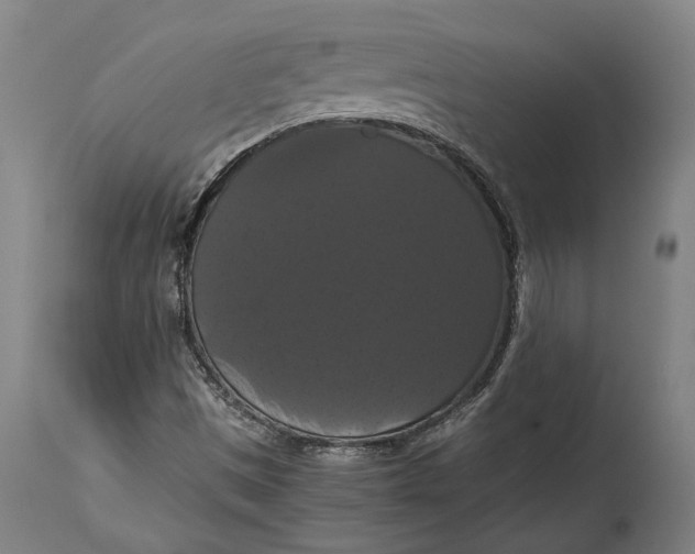 X0000114641497200911101247