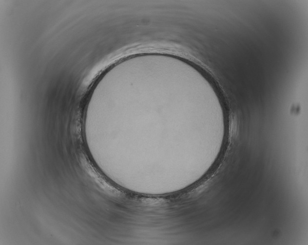 X0000114641498200911101247
