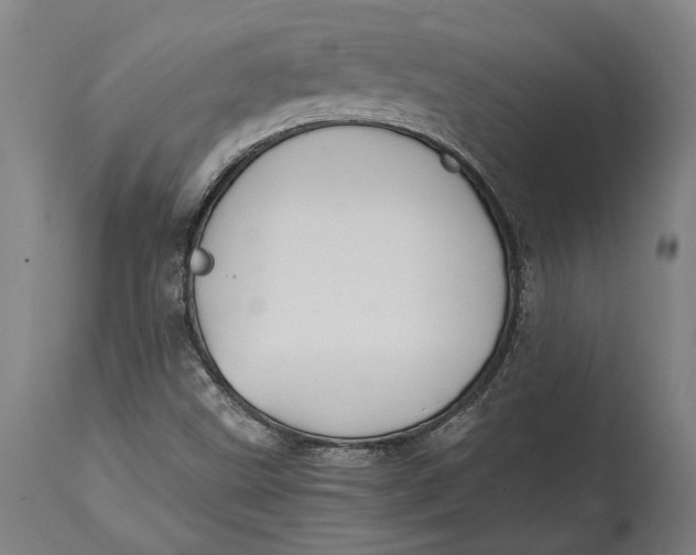 X0000114641499200911101247