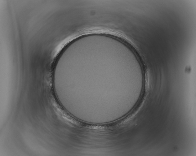 X0000114641501200911101247
