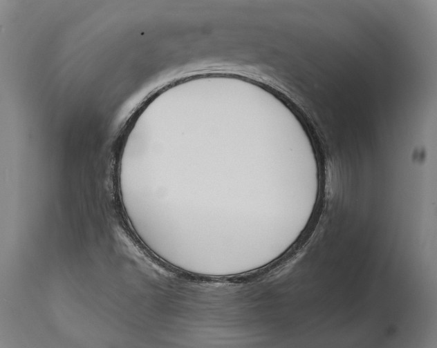X0000114641502200911101247