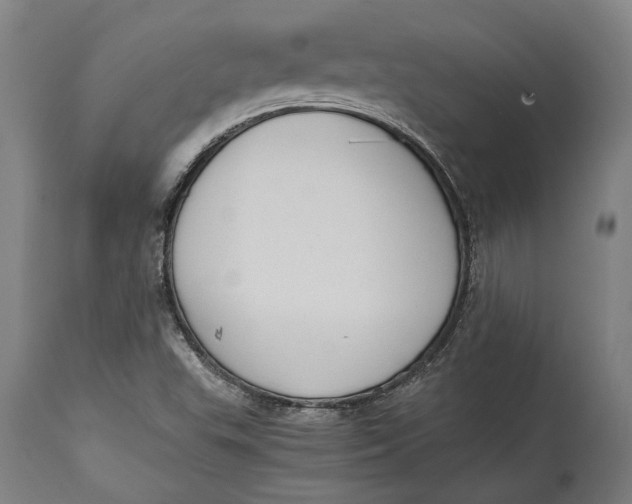 X0000114641503200911101247