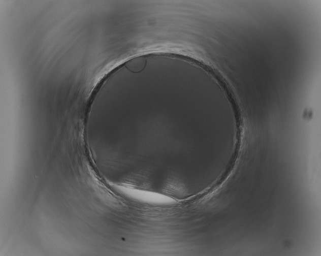 X0000114641505200911101247