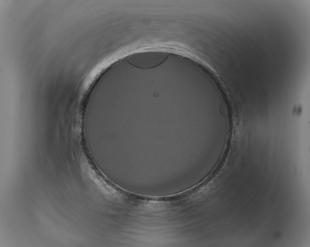 X0000114641506200911101247