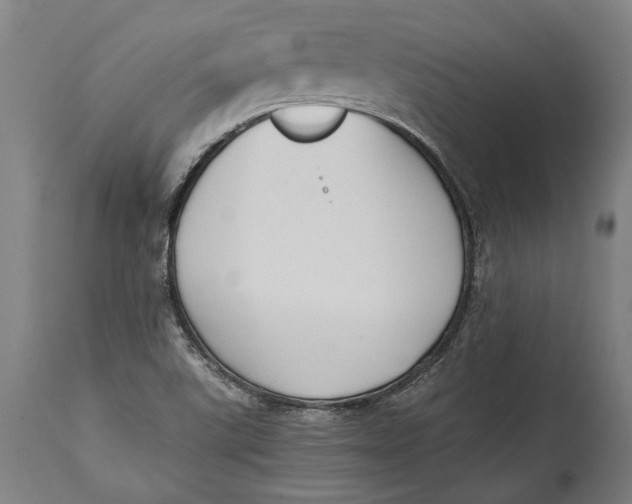 X0000114641507200911101247
