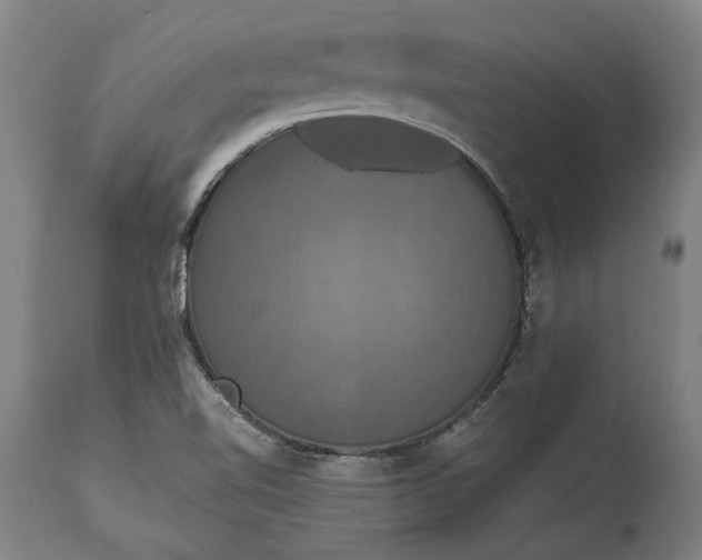 X0000114641510200911101247