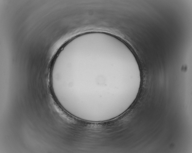 X0000114641511200911101247