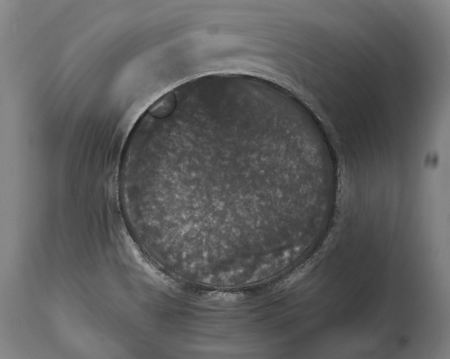 X0000114641513200911101247