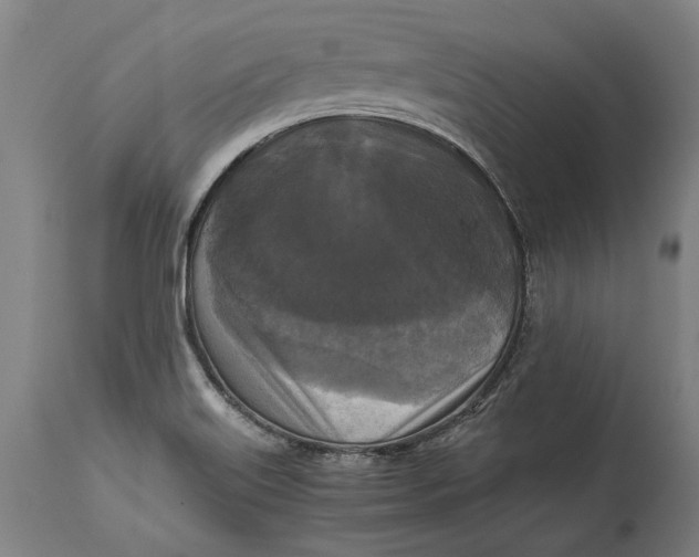 X0000114641515200911101247