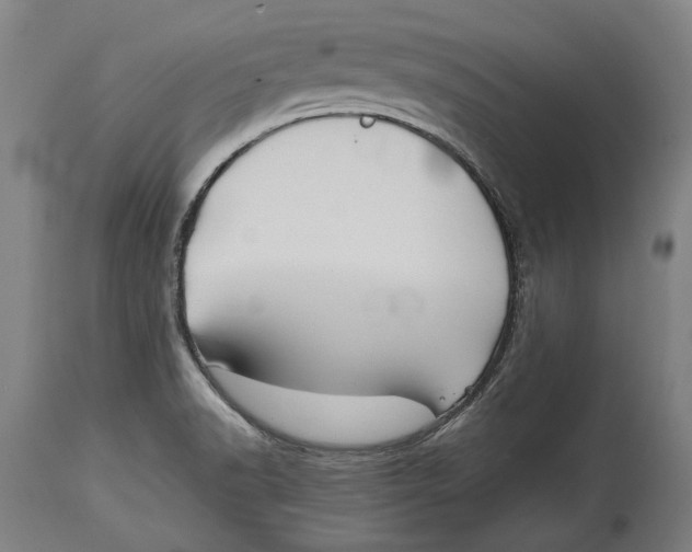 X0000114641518200911101247