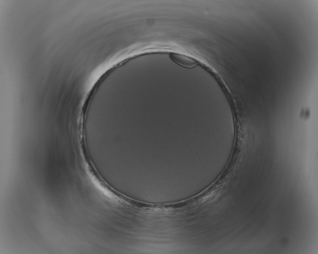 X0000114641519200911101247