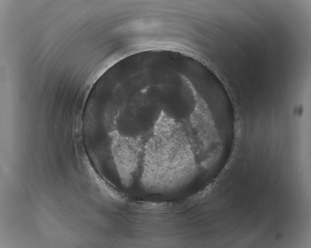 X0000114641521200911101247