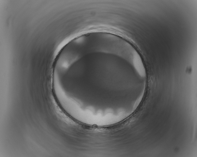 X0000114641522200911101247