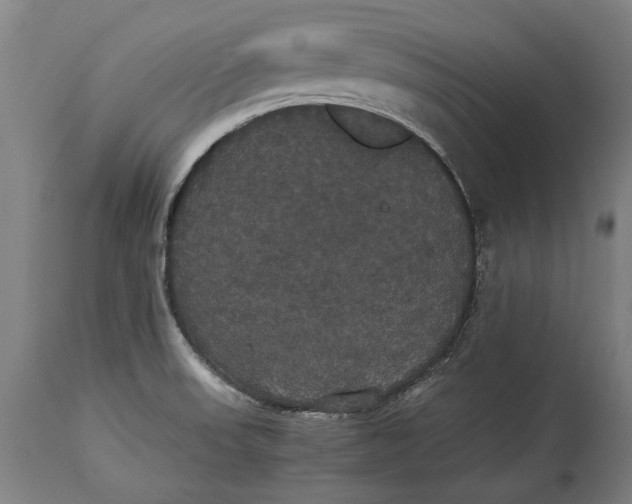 X0000114641523200911101247