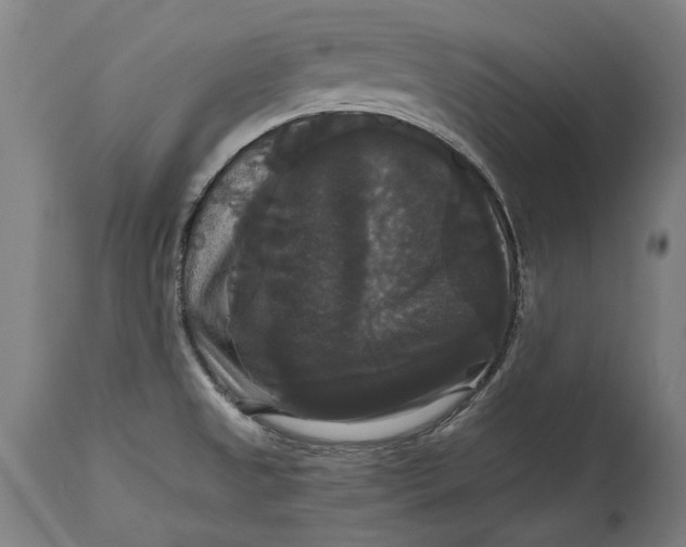 X0000114641525200911101247