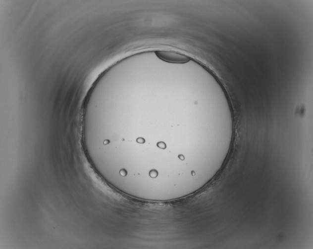 X0000114641526200911101247
