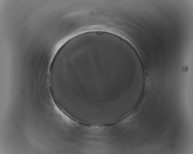 X0000114641527200911101247