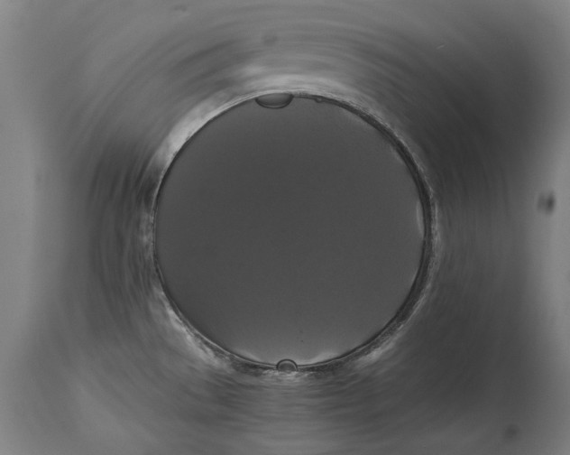 X0000114641529200911101247