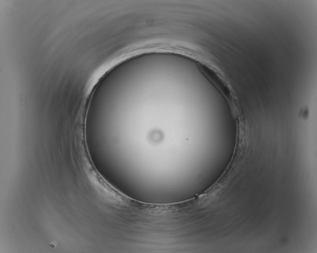 X0000114641530200911101247