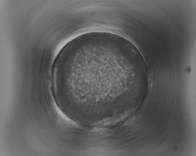X0000114641531200911101247