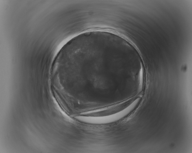 X0000114641533200911101247